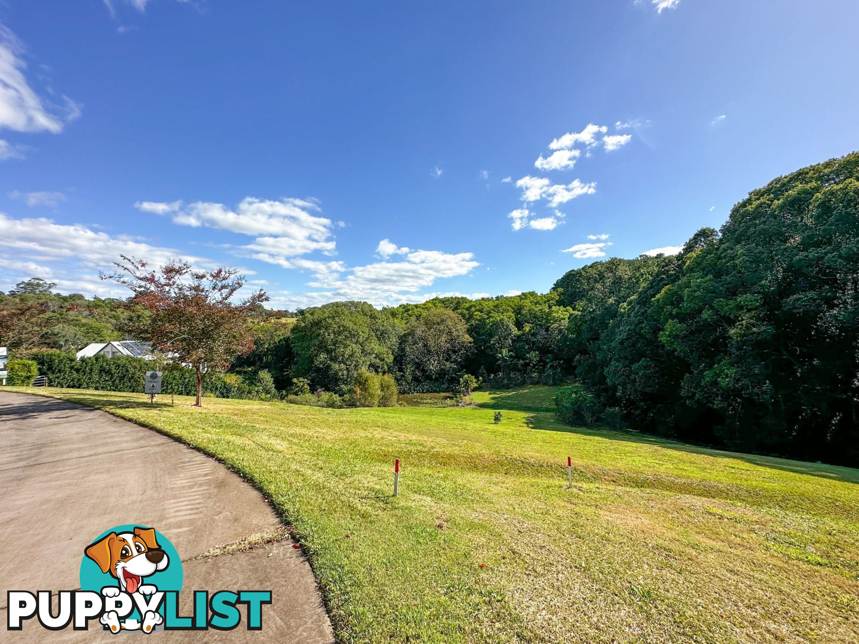 23 Hamptons Place Montville QLD 4560