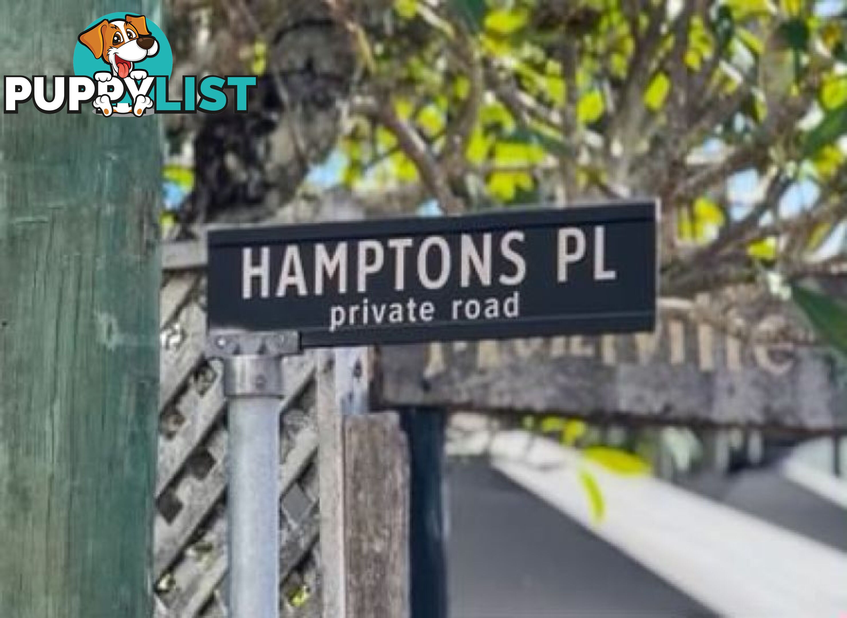 23 Hamptons Place Montville QLD 4560