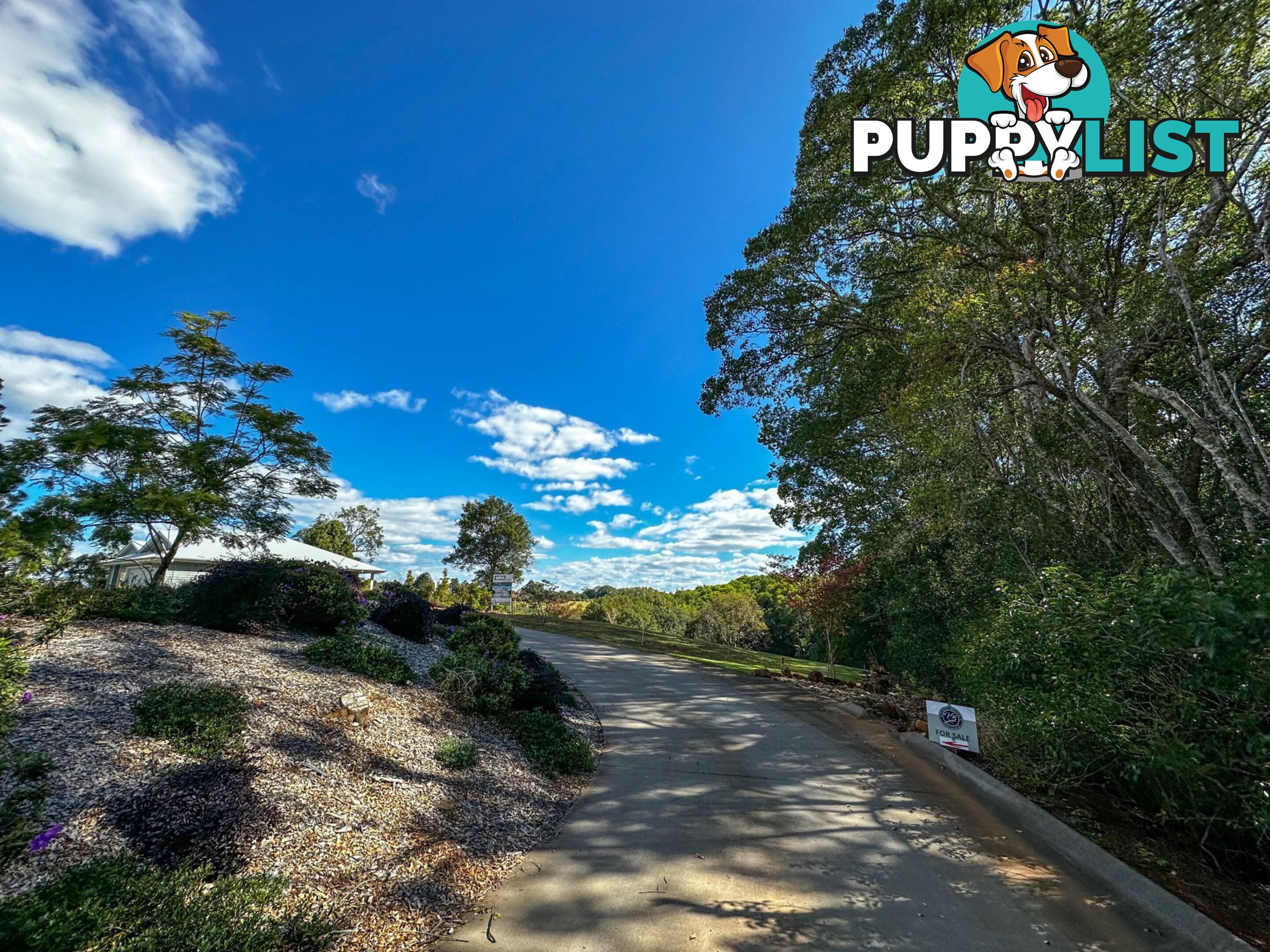 23 Hamptons Place Montville QLD 4560