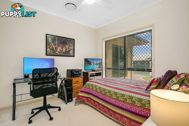 17 Apple Gum Crescent Thornlands QLD 4164