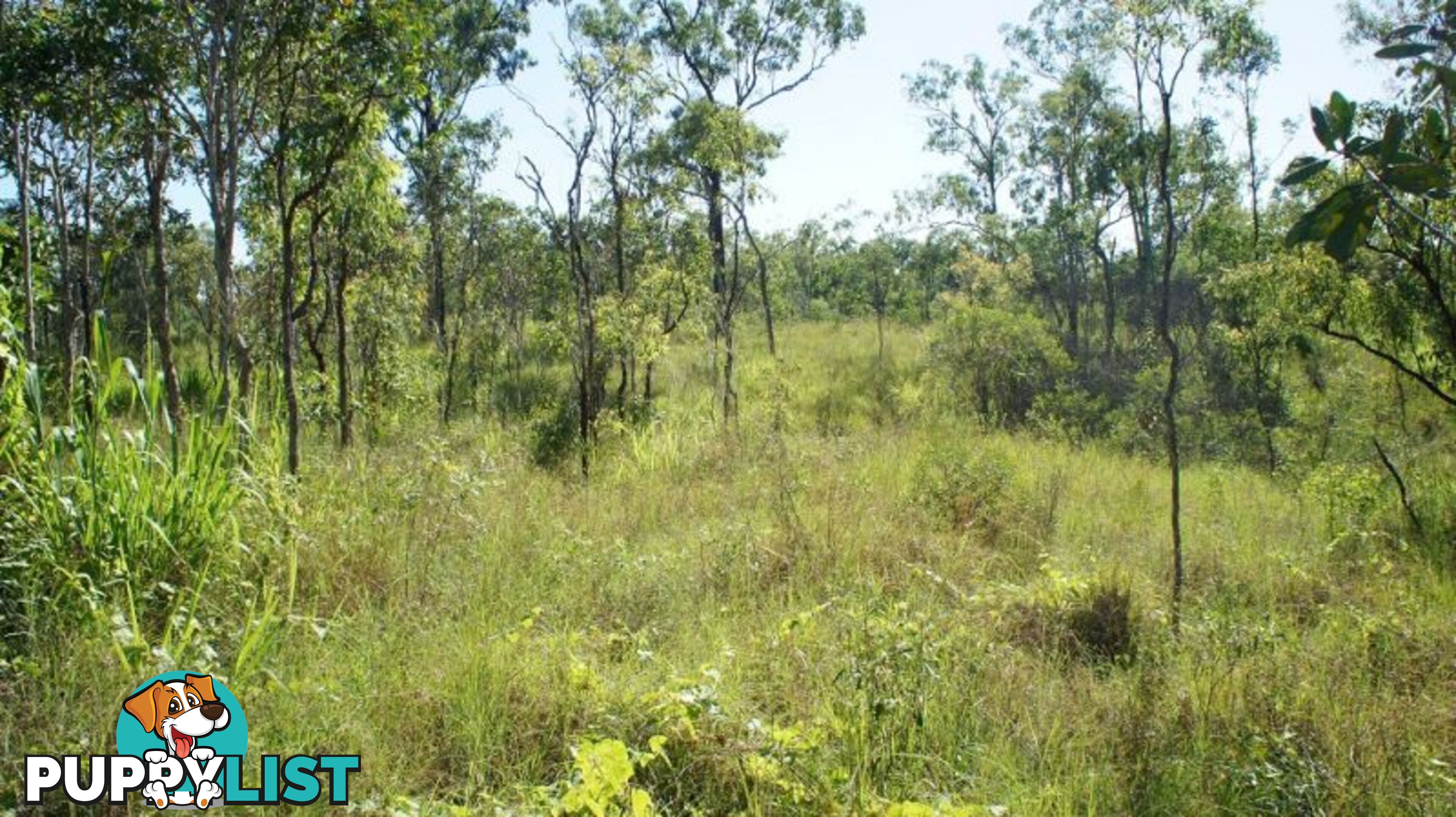 140 Toscavale Road Black River QLD 4818