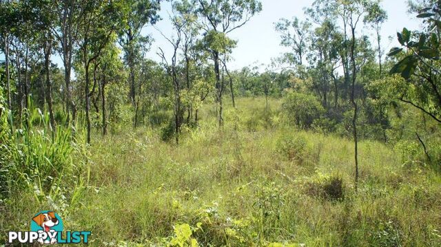 140 Toscavale Road Black River QLD 4818