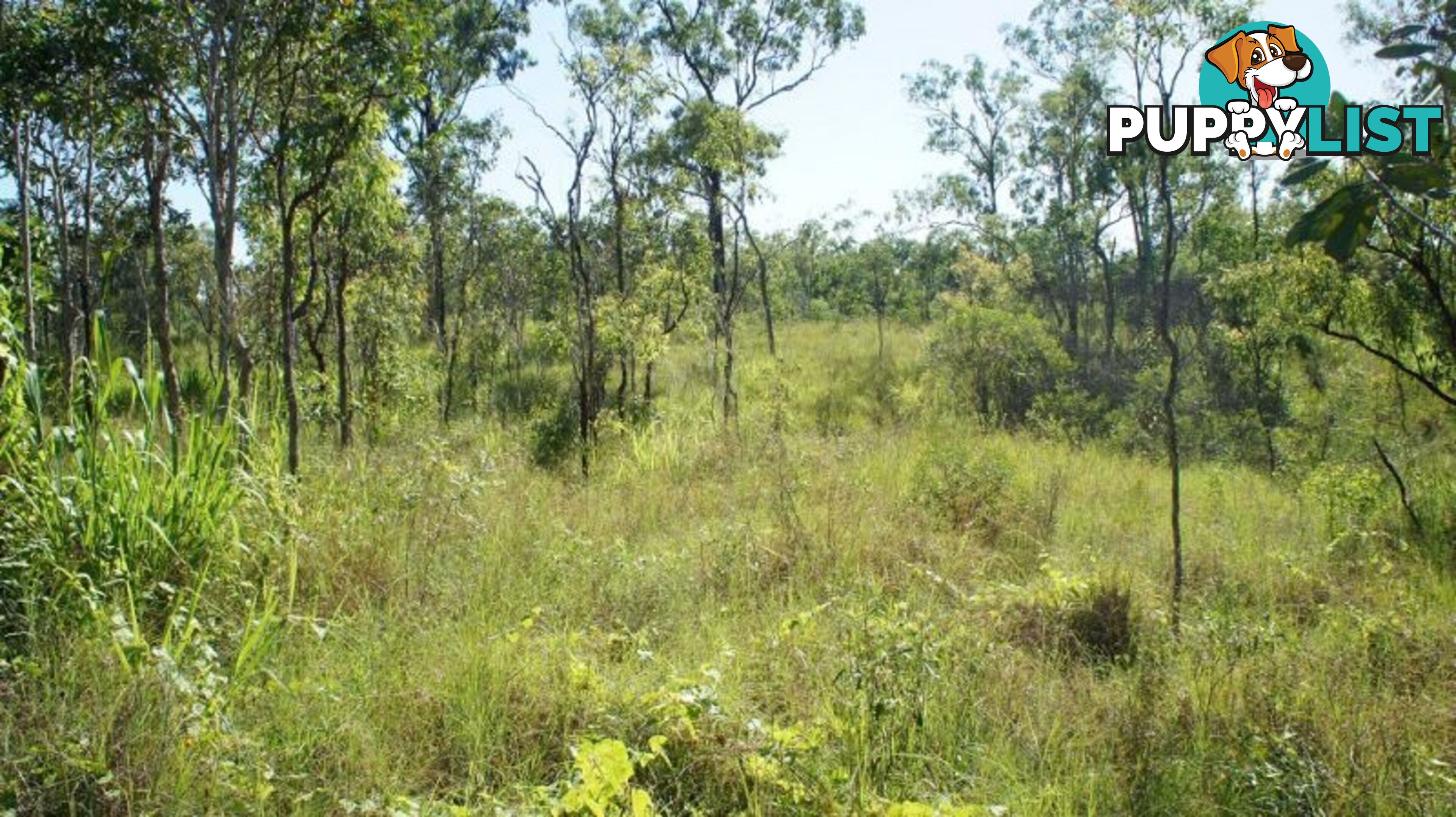 140 Toscavale Road Black River QLD 4818