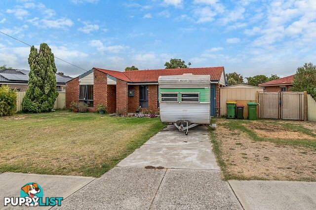 31 Millgrove Avenue Cooloongup WA 6168