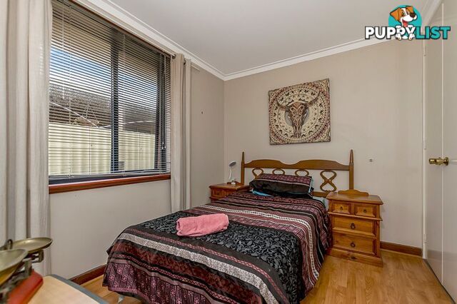 31 Millgrove Avenue Cooloongup WA 6168