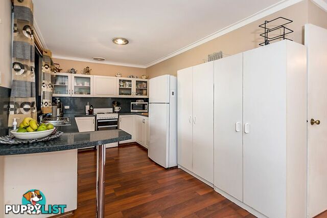 31 Millgrove Avenue Cooloongup WA 6168