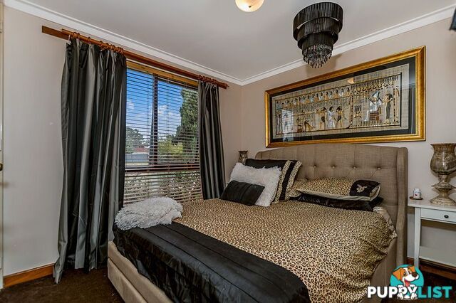 31 Millgrove Avenue Cooloongup WA 6168