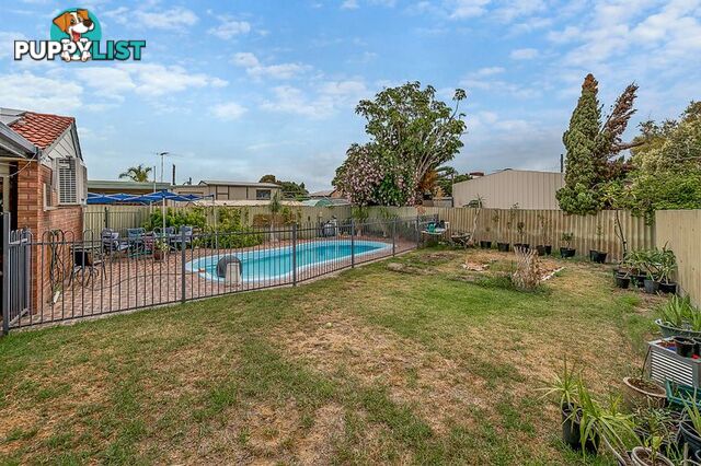 31 Millgrove Avenue Cooloongup WA 6168