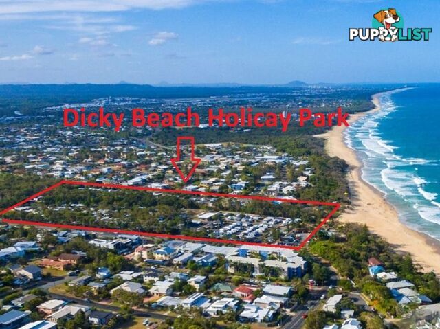 76 2 Beerburrum Street Dicky Beach QLD 4551