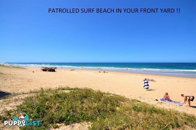 76 2 Beerburrum Street Dicky Beach QLD 4551