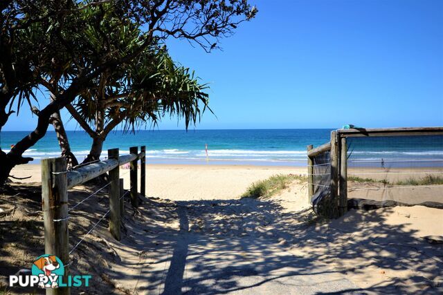 76 2 Beerburrum Street Dicky Beach QLD 4551