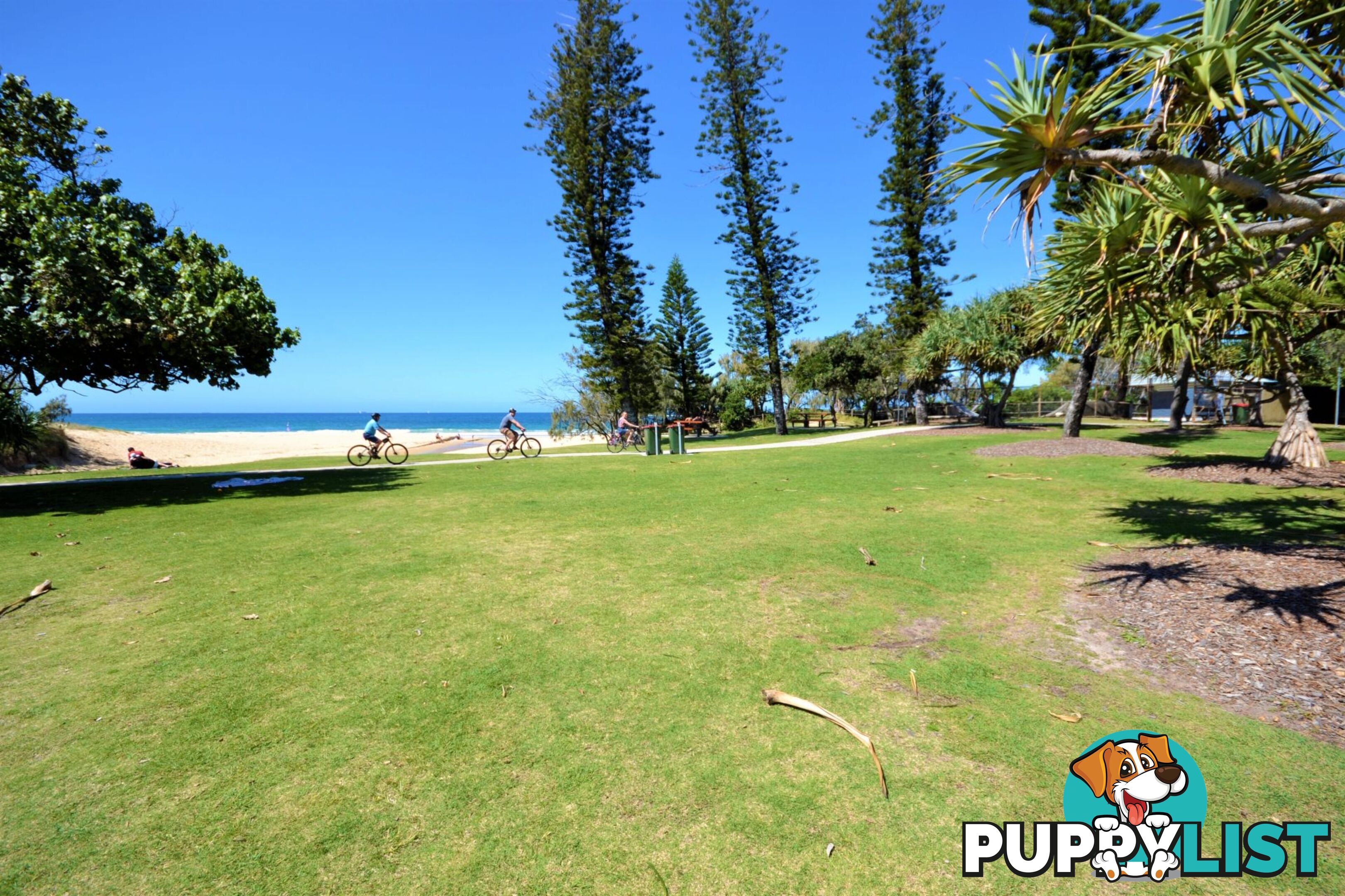 76 2 Beerburrum Street Dicky Beach QLD 4551