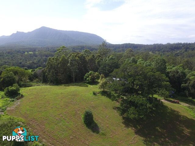 76 Coalmine Road Mount Burrell NSW 2484