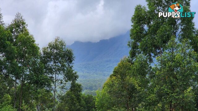 76 Coalmine Road Mount Burrell NSW 2484