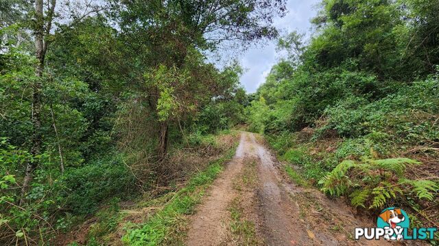 76 Coalmine Road Mount Burrell NSW 2484