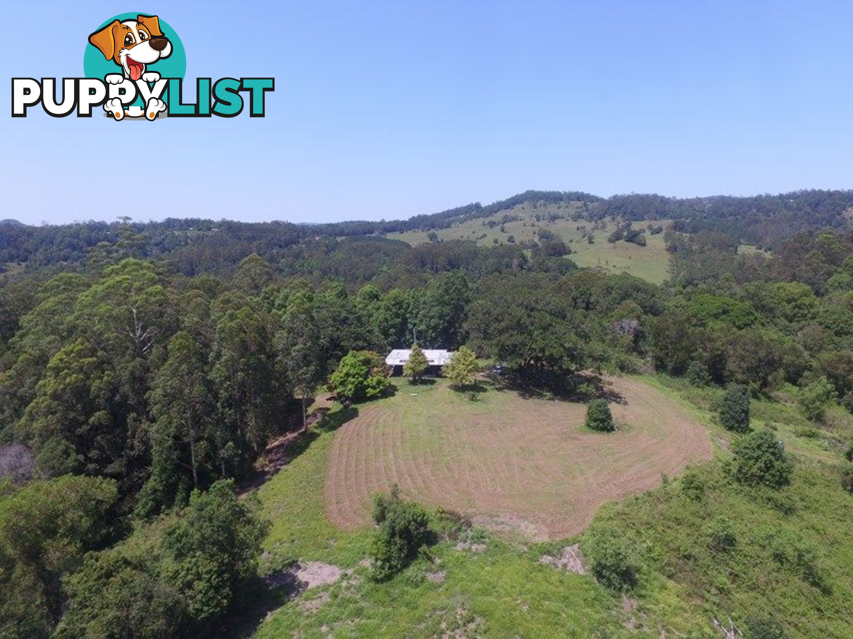 76 Coalmine Road Mount Burrell NSW 2484