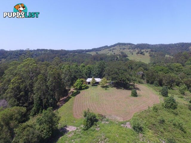 76 Coalmine Road Mount Burrell NSW 2484