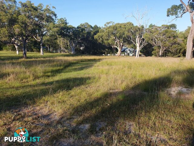 88 Bayside Road Cooloola Cove QLD 4580