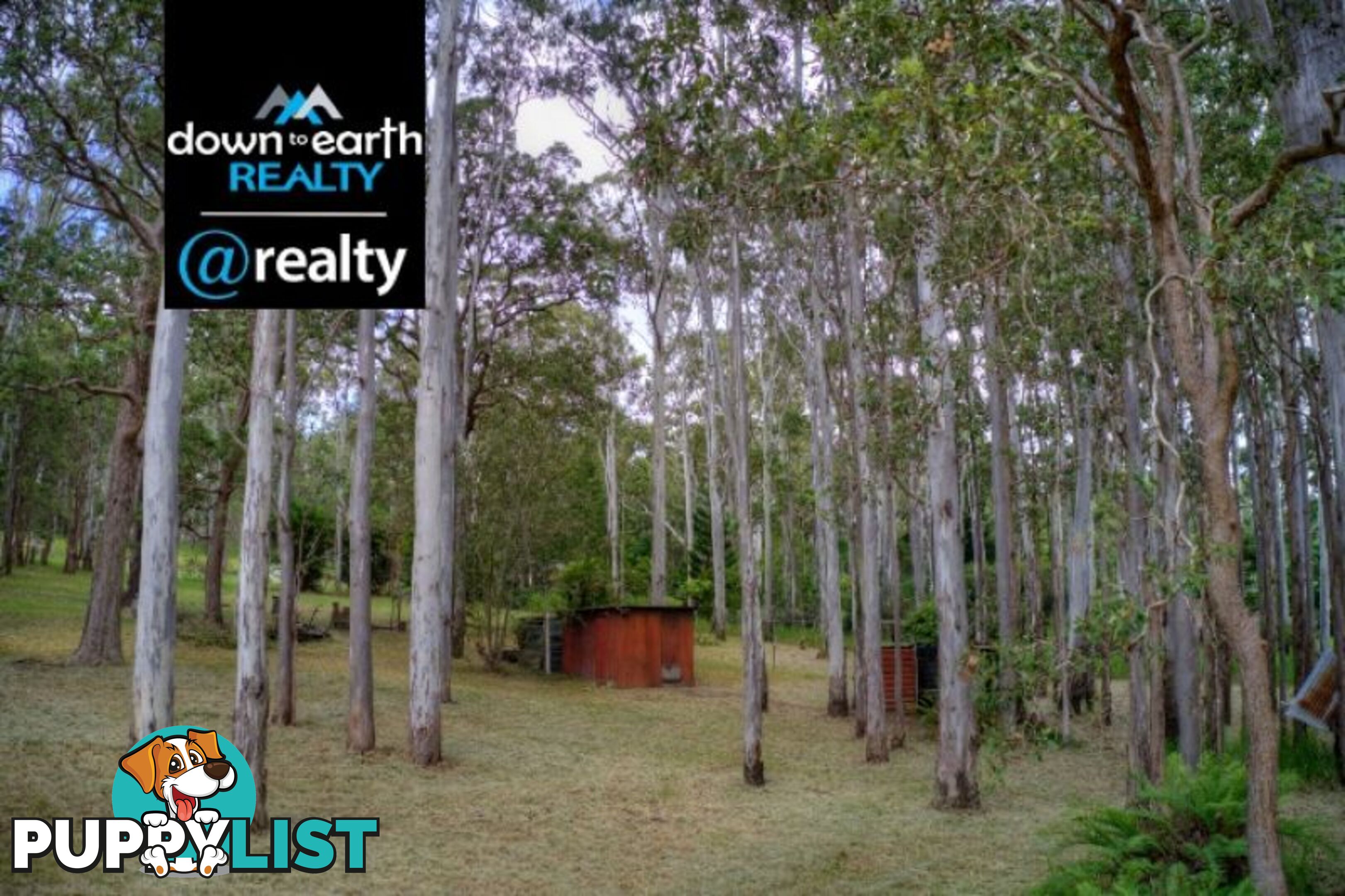 119 Greys Lane Ravenshoe QLD 4888