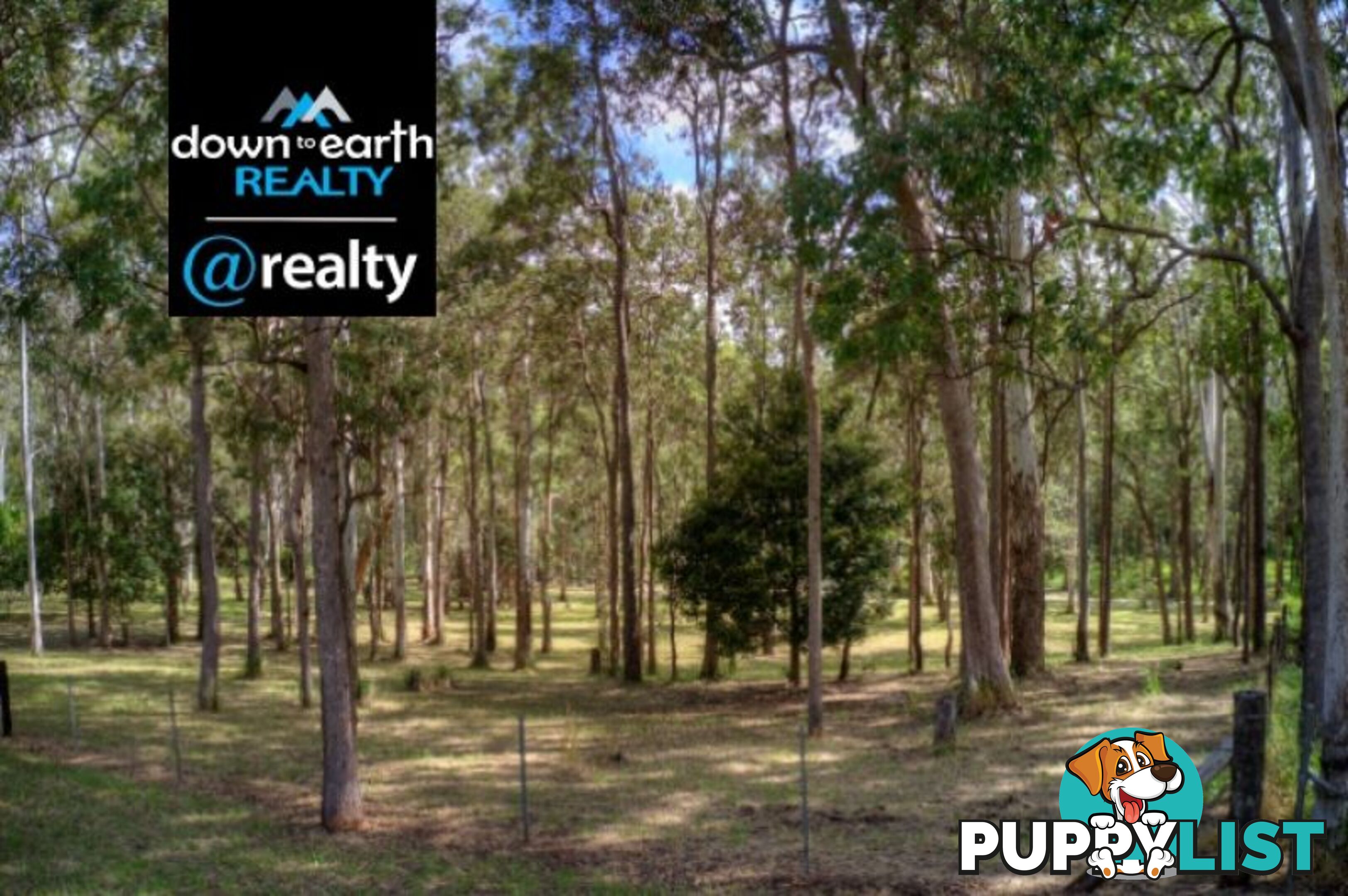 119 Greys Lane Ravenshoe QLD 4888