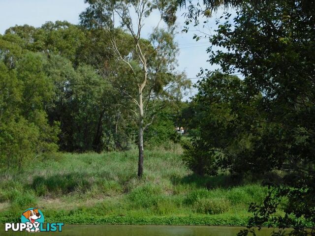 Lot 2,3,5 Lot 2 Napier Street LAIDLEY QLD 4341