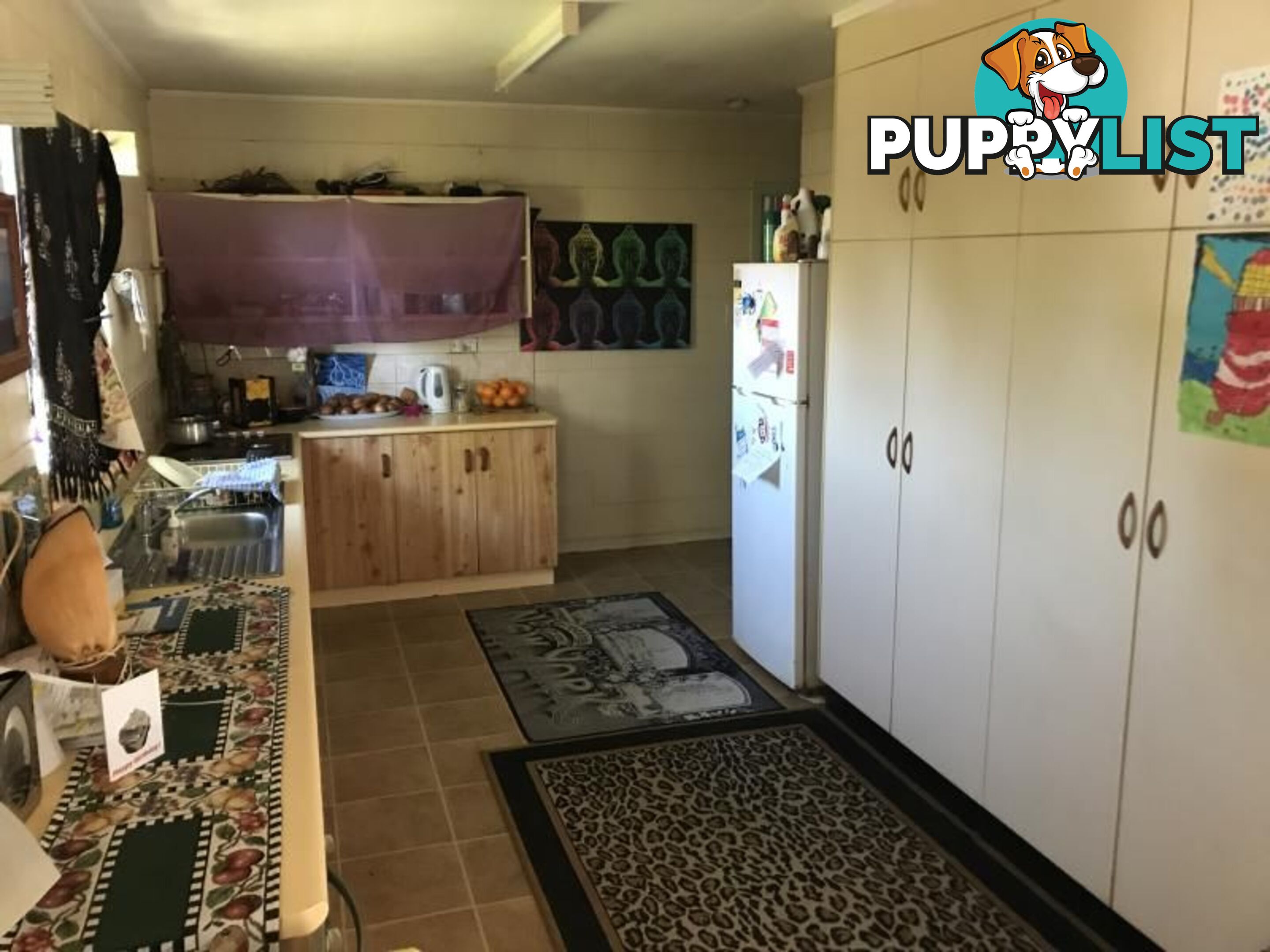 39 Gloucester Street BOWEN QLD 4805