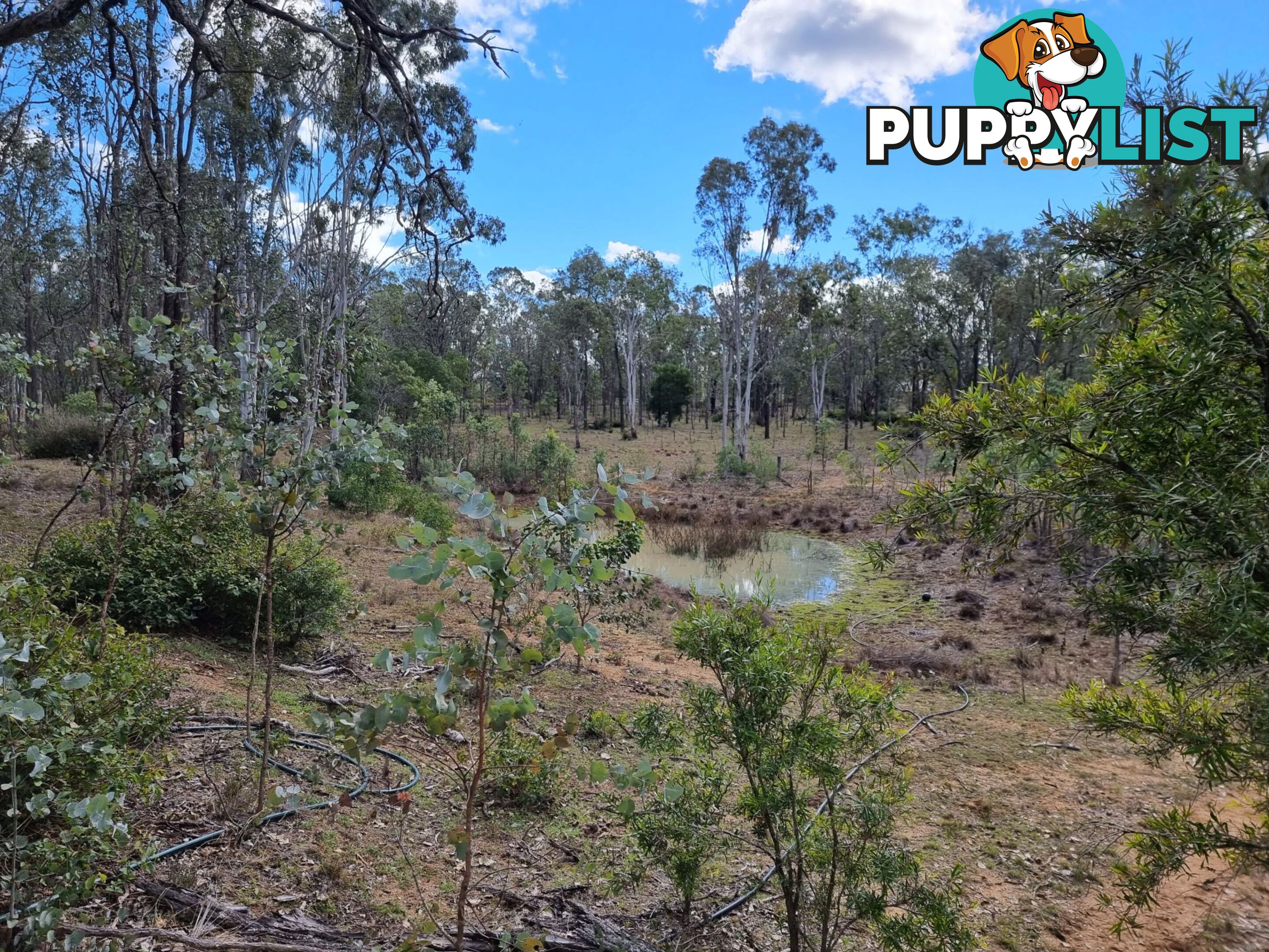 48 Templetons Road Nanango QLD 4615