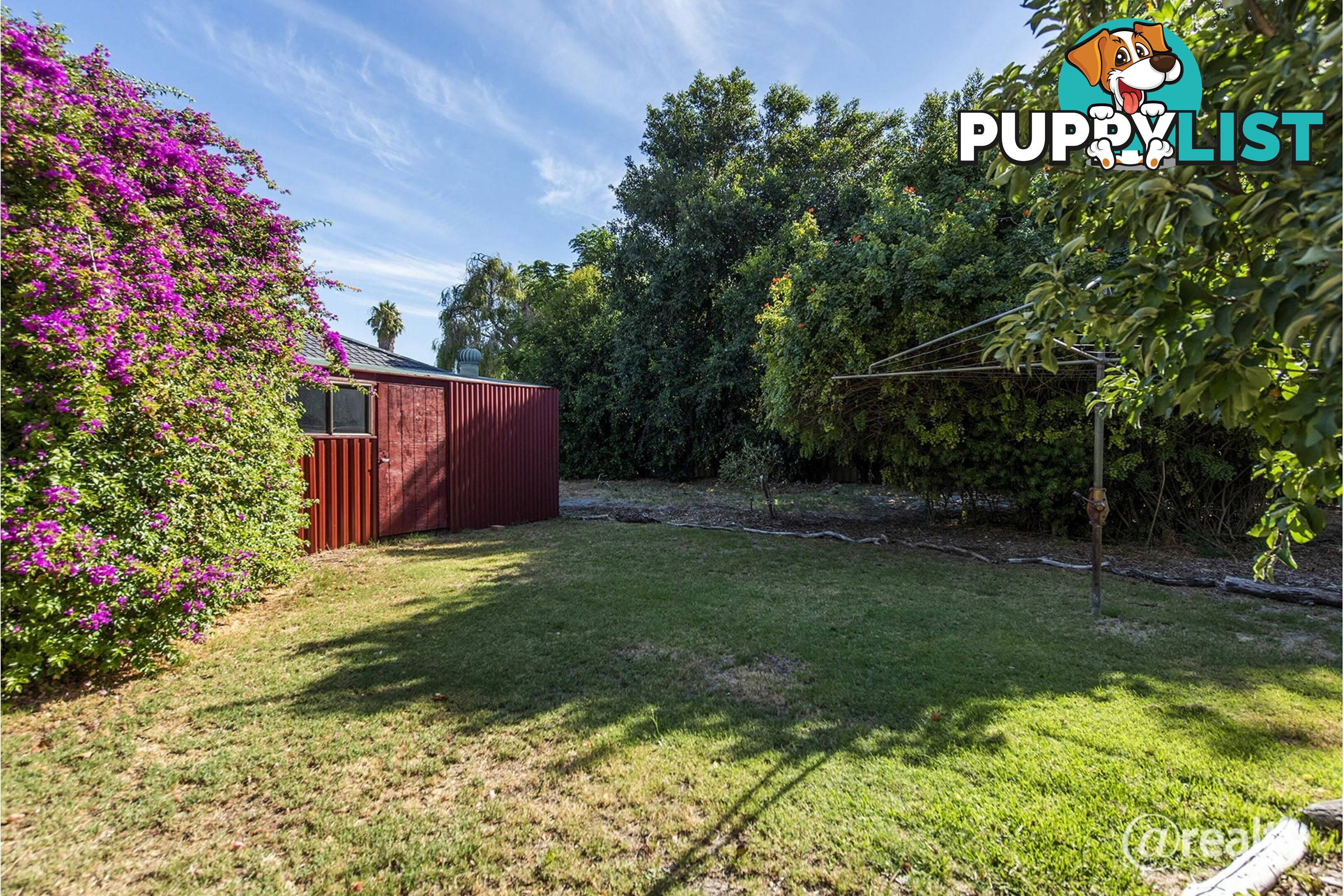 13 Lord Street Bassendean WA 6054