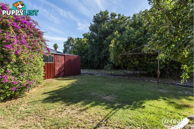 13 Lord Street Bassendean WA 6054