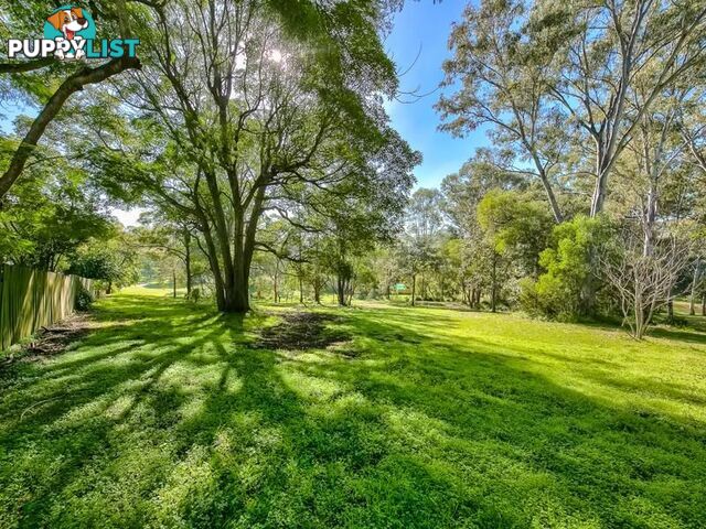 84 Andrew Avenue TARRAGINDI QLD 4121