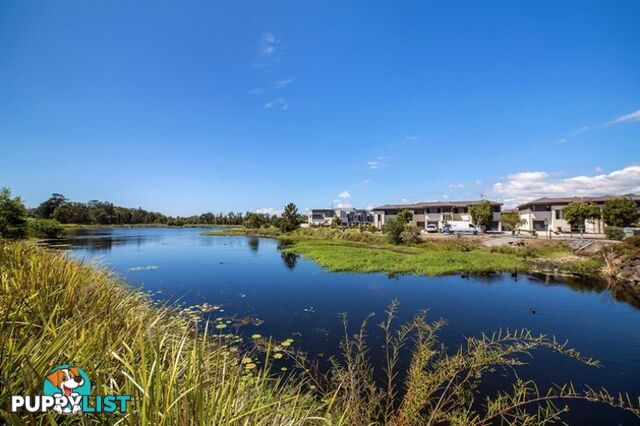 132 2 Inland Drive Tugun QLD 4224