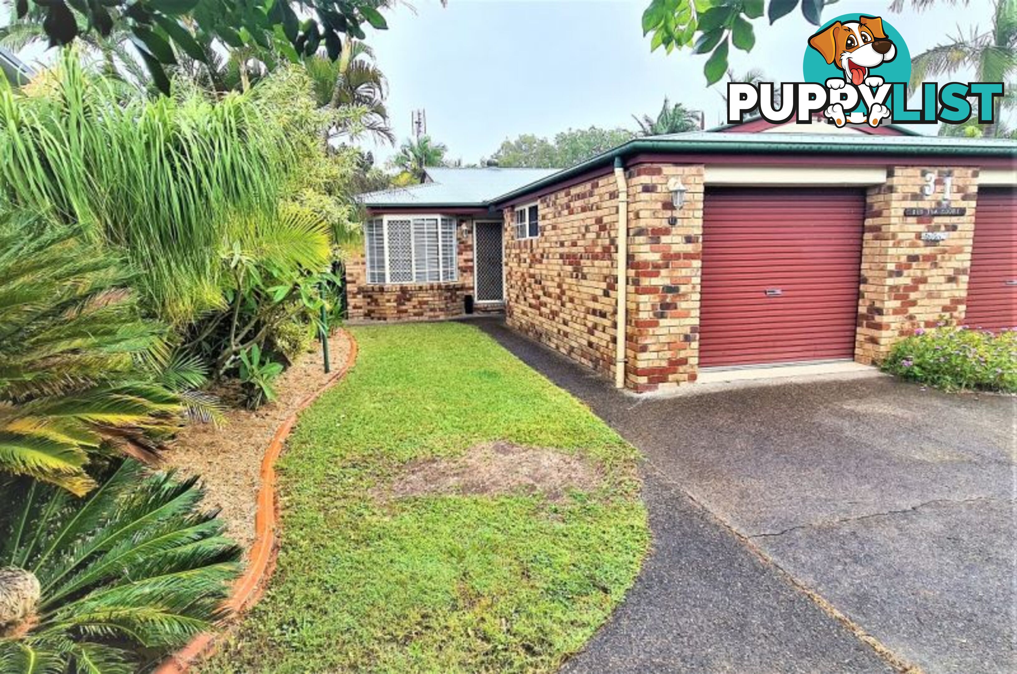 1 31 Gayome Street Pacific Paradise QLD 4564