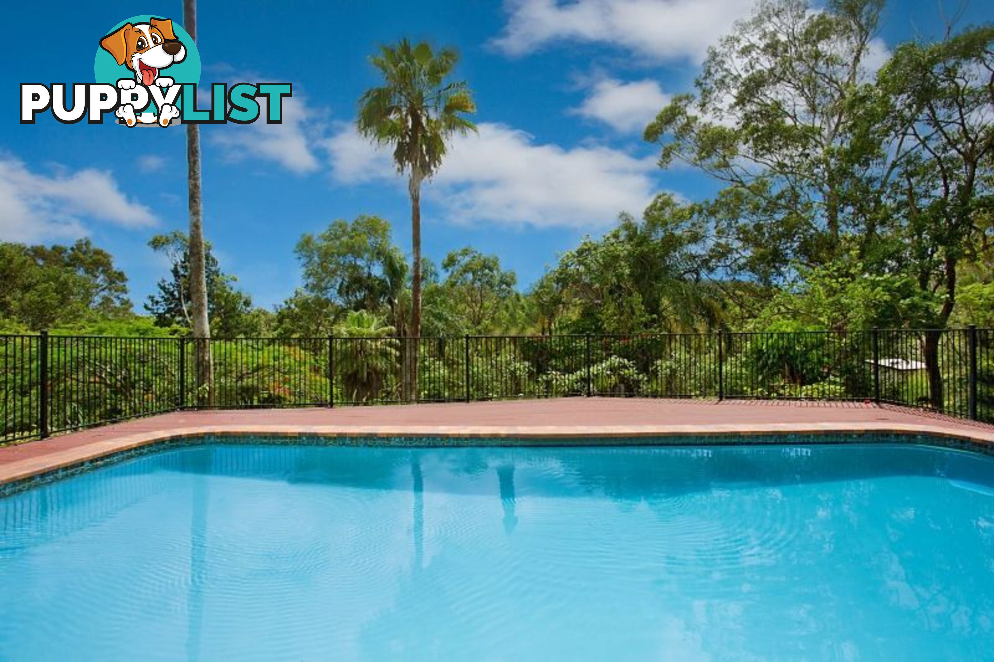 66 Bonogin Road MUDGEERABA QLD 4213