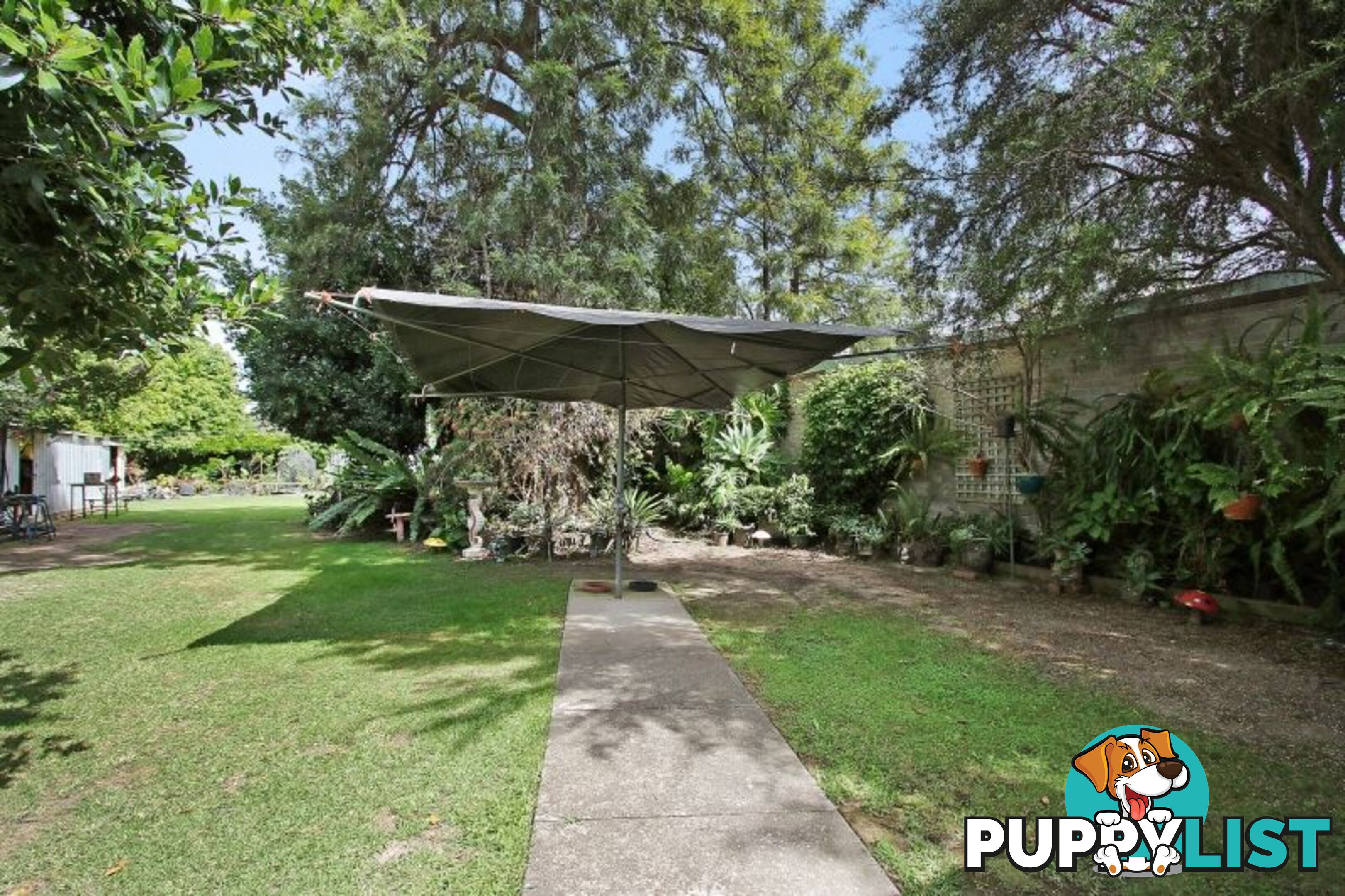 451 Bownds Street Lavington NSW 2641