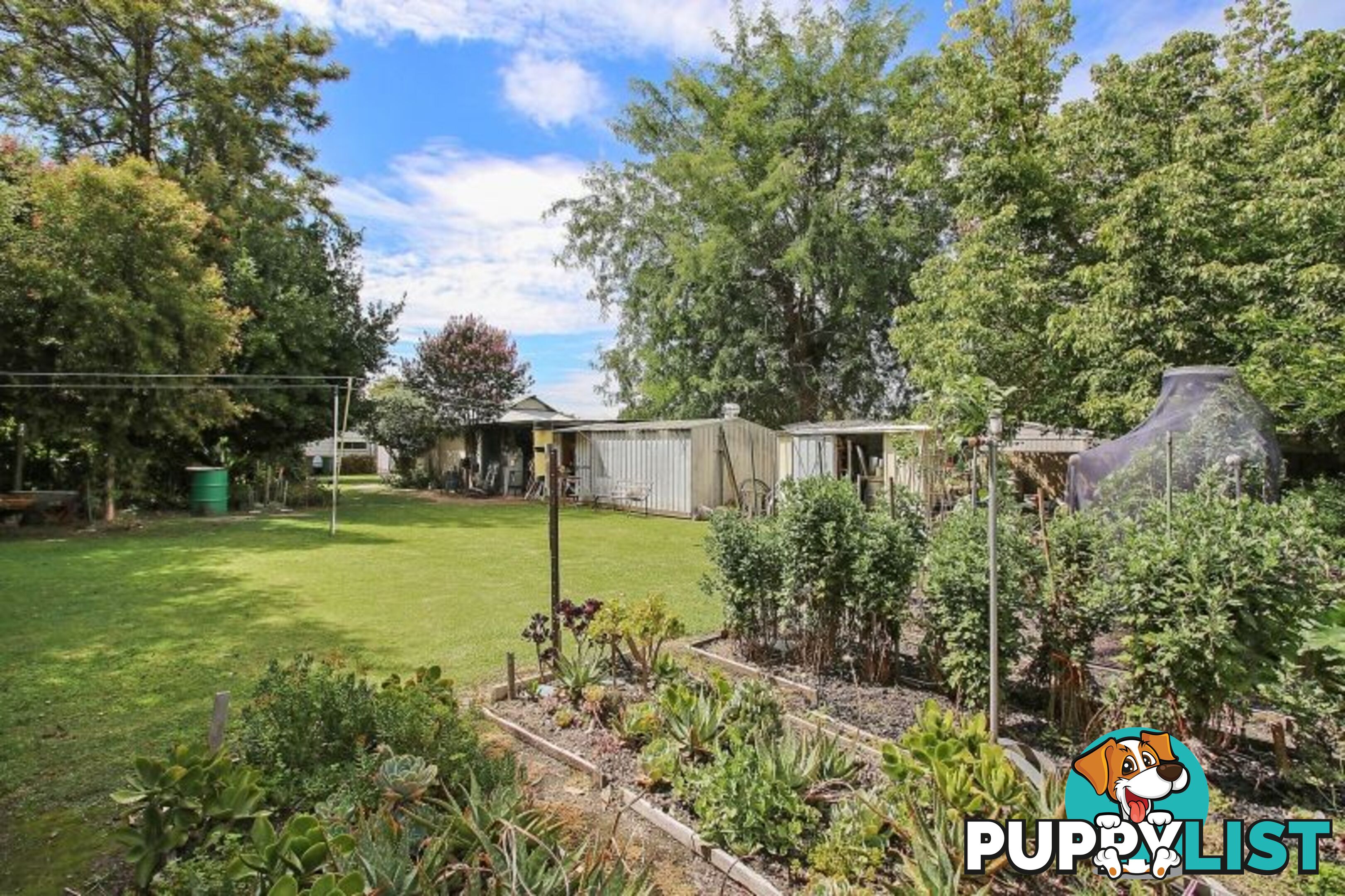 451 Bownds Street Lavington NSW 2641