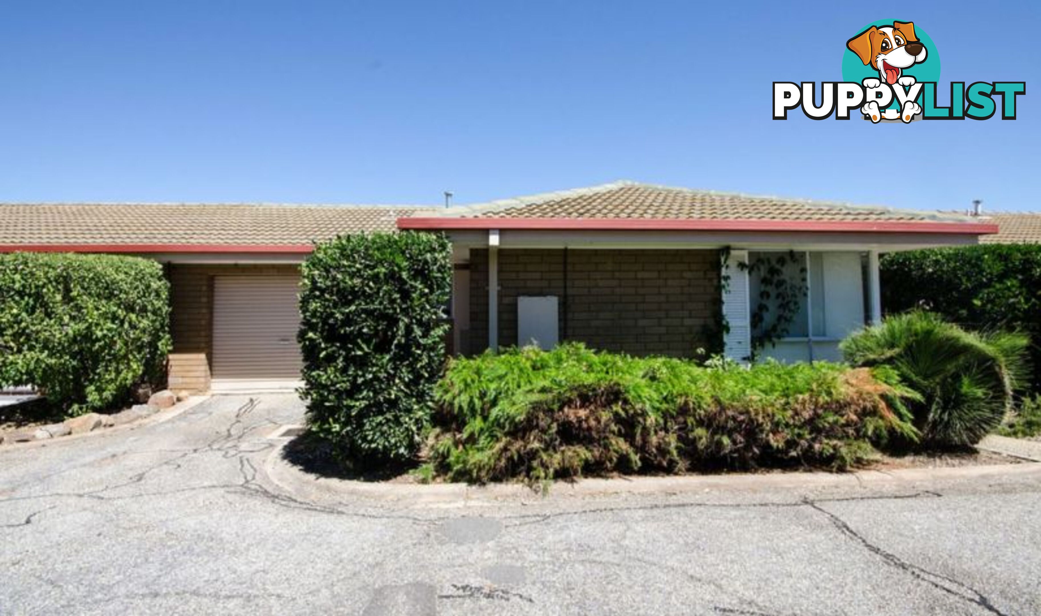 4 496 Hill Street West Albury NSW 2640