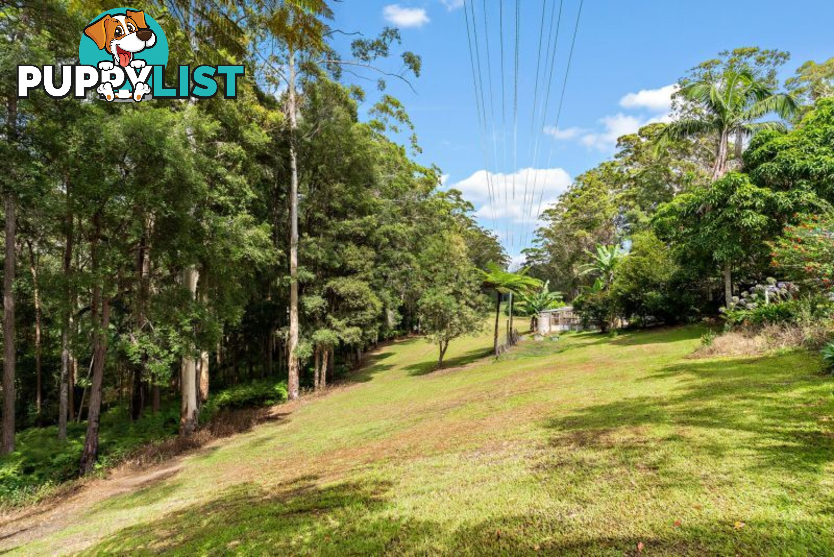 119 Delicia Road Mapleton QLD 4560