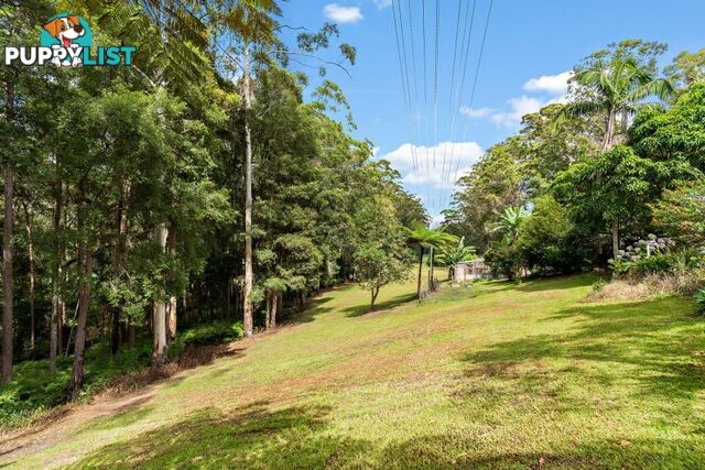 119 Delicia Road Mapleton QLD 4560