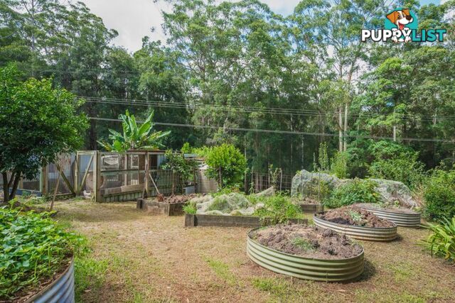 119 Delicia Road Mapleton QLD 4560