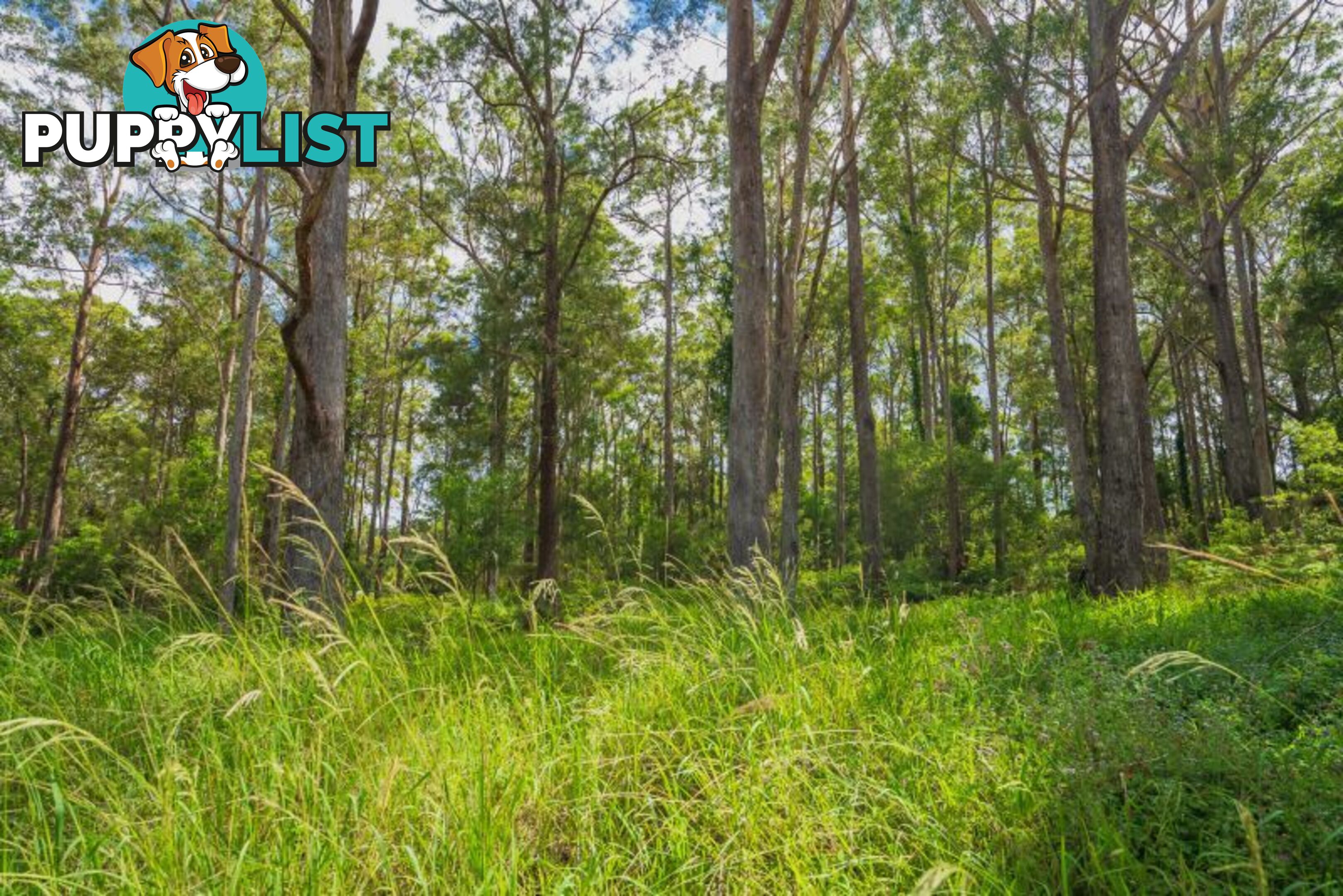 119 Delicia Road Mapleton QLD 4560