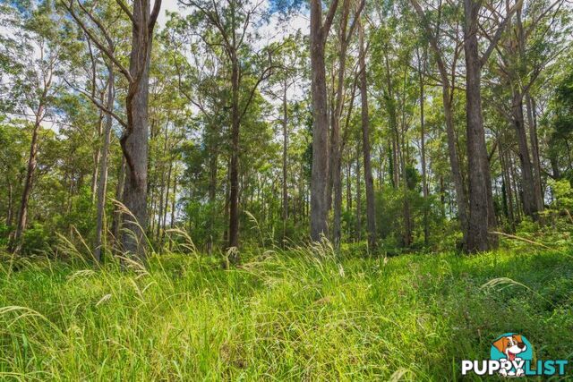 119 Delicia Road Mapleton QLD 4560