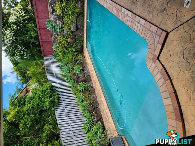 21 Sugarglider Lane Mudgeeraba QLD 4213