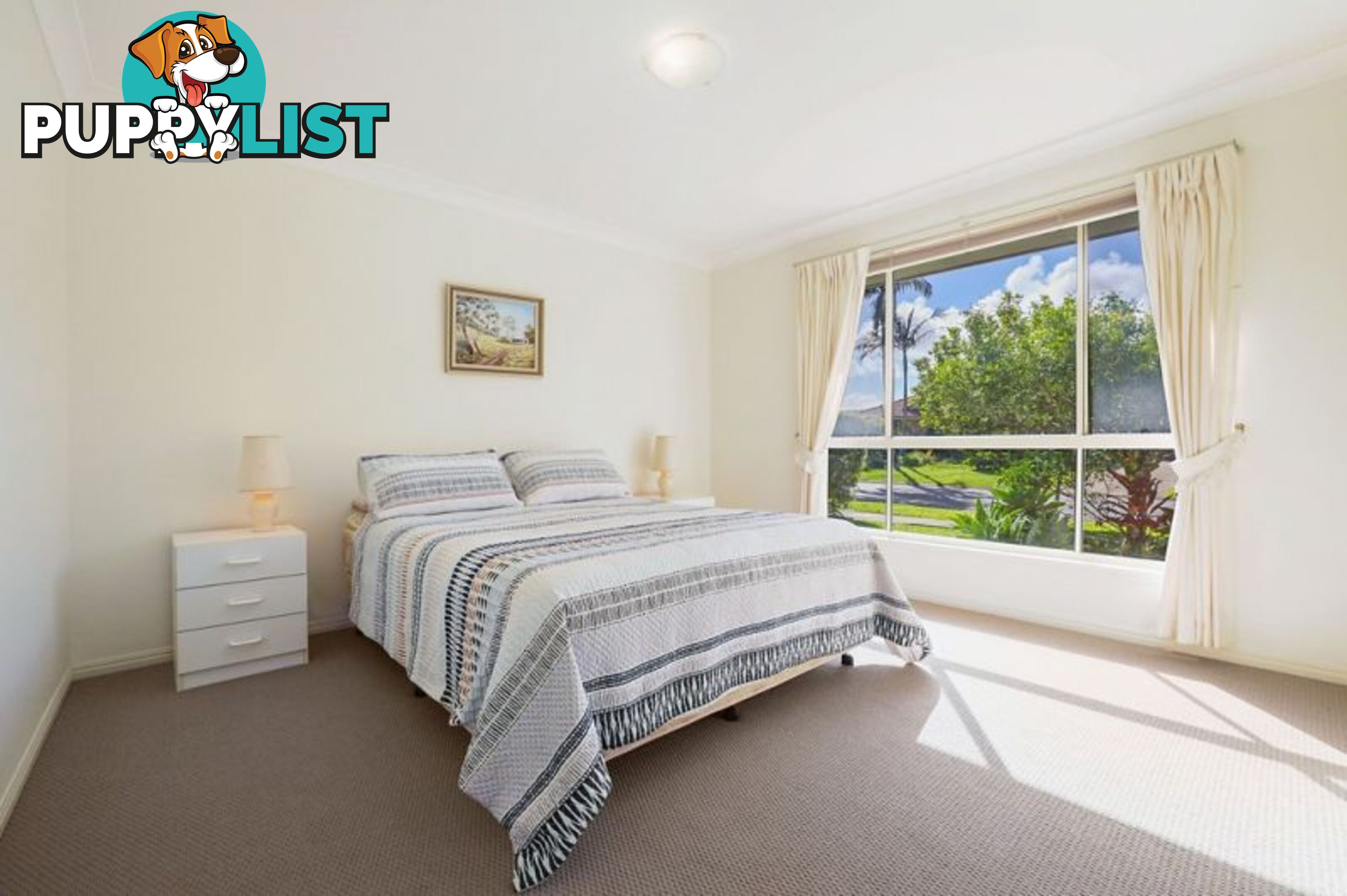 3 Franklin Street Banora Point NSW 2486