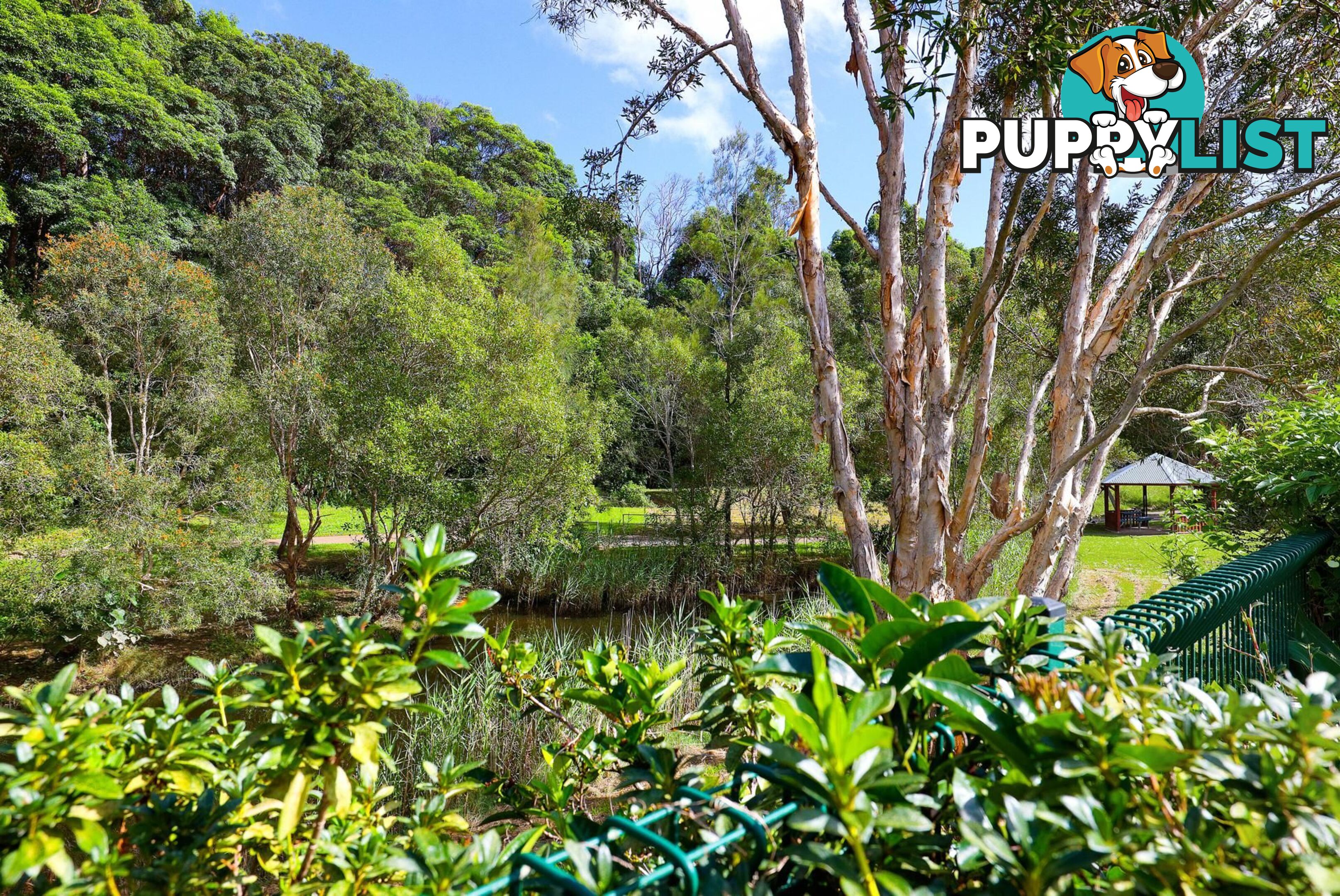 3 Franklin Street Banora Point NSW 2486