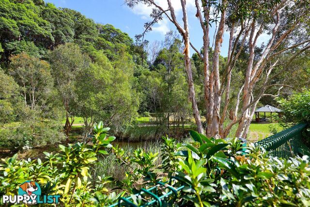 3 Franklin Street Banora Point NSW 2486