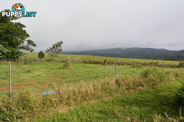 337 East Evelyn Road Millaa Millaa QLD 4886