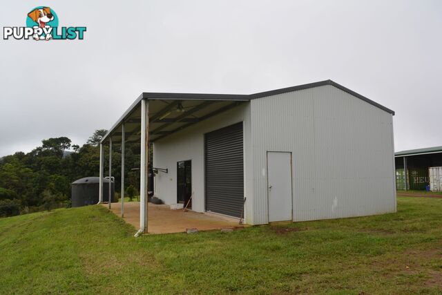 337 East Evelyn Road Millaa Millaa QLD 4886