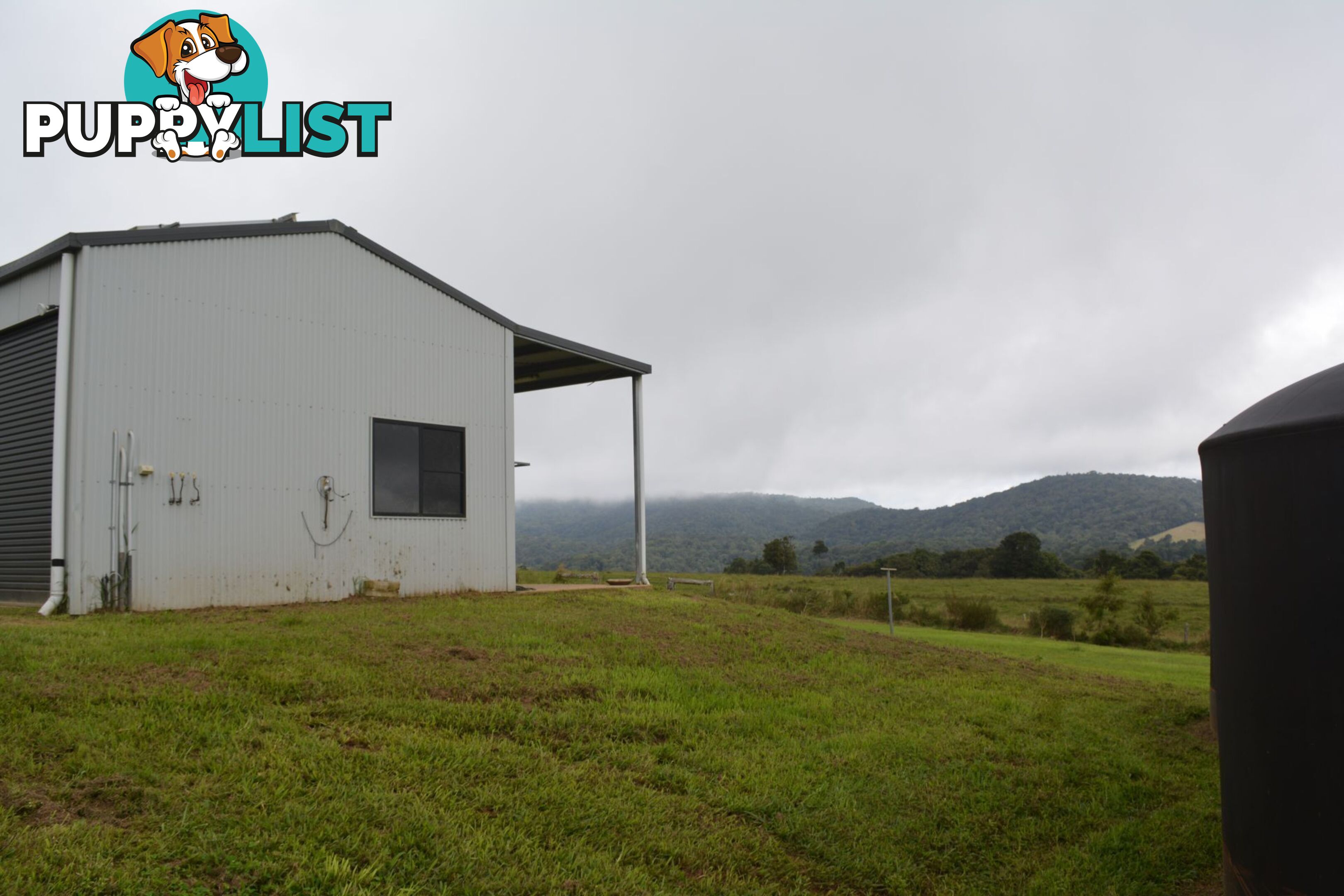 337 East Evelyn Road Millaa Millaa QLD 4886