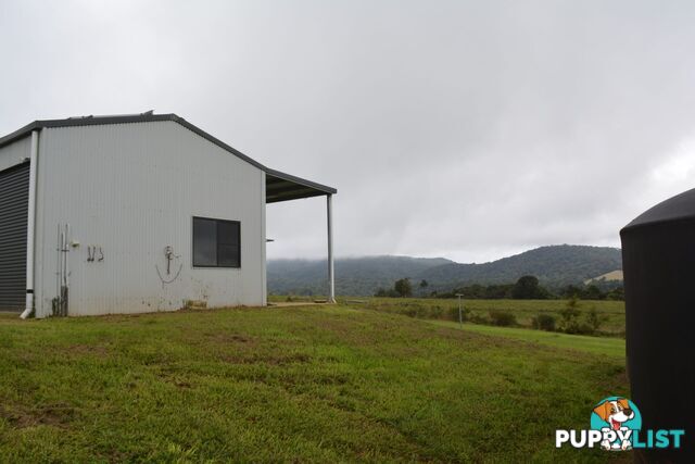 337 East Evelyn Road Millaa Millaa QLD 4886