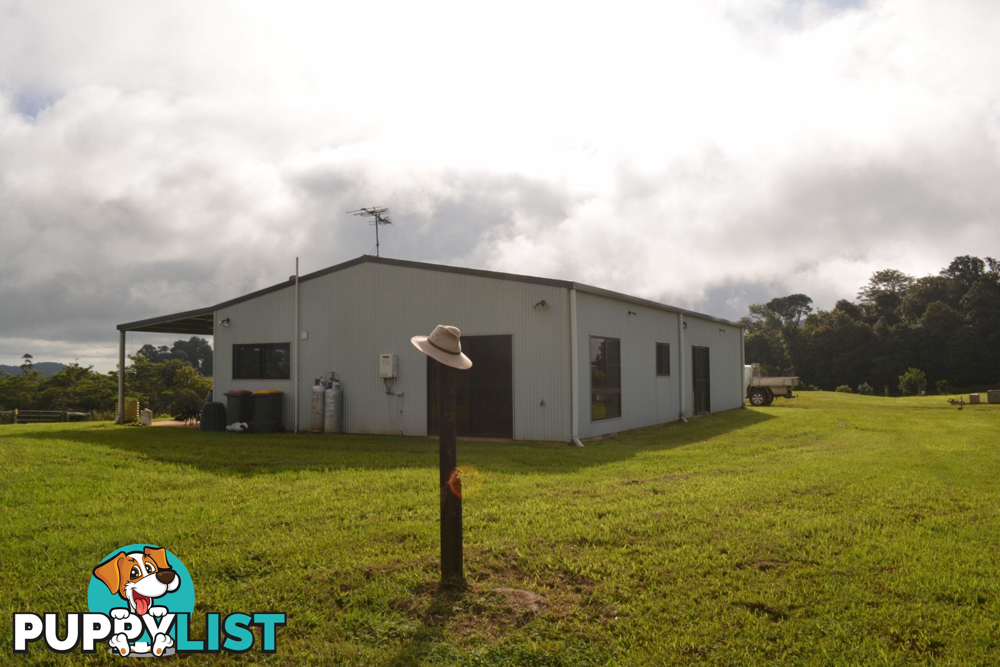 337 East Evelyn Road Millaa Millaa QLD 4886